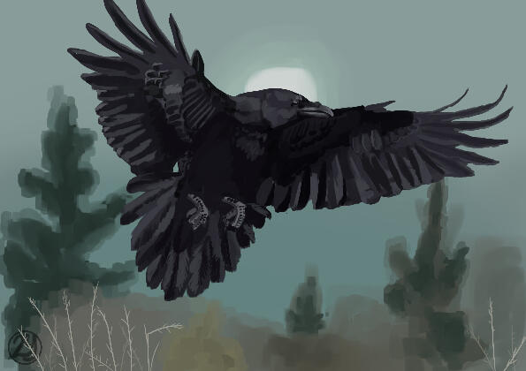Raven - Painting